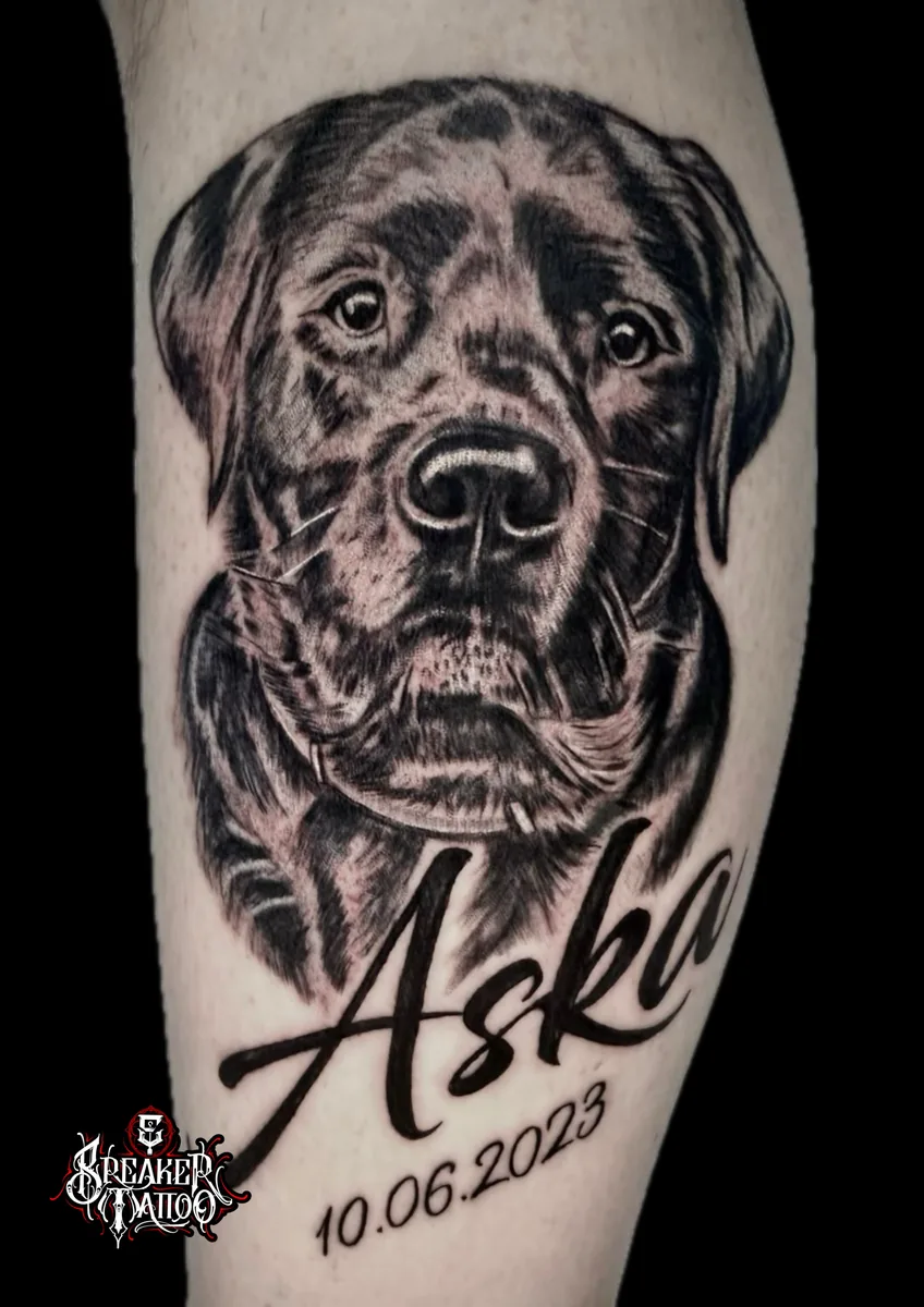 Porträt eines Labradors mit Schriftzug Aska und Datum, fotorealistisch gestochen